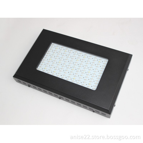 Energy-savong 12,000K 3W LED Plant Growing Lights, 85 to 264V, 60Hz Flat Panel Lamp for plants